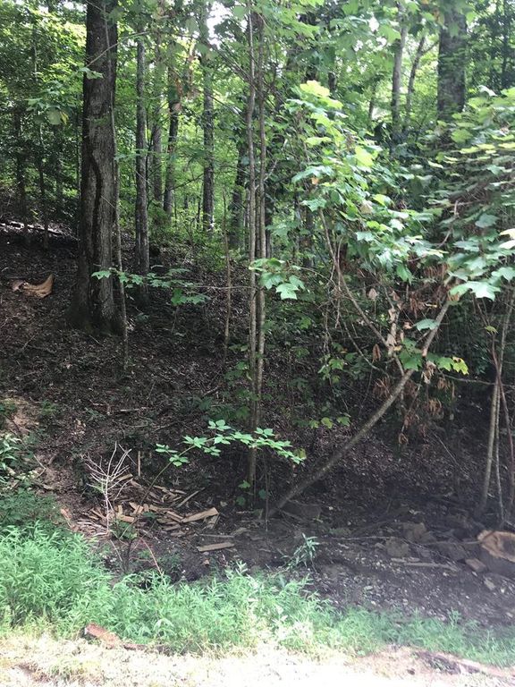 Lot 8 Vista Loop Road Road, Topton, NC 28781