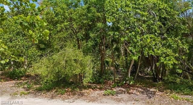 933 Strangler Fig LN, Sanibel, FL 33957