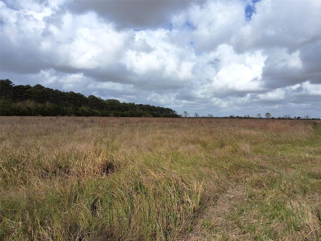 0 Cr-49 Off 288 Hwy, Angleton, TX 77515