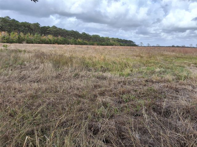 0 Cr-49 Off 288 Hwy, Angleton, TX 77515