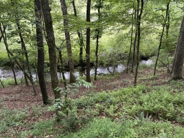 255 Clear Creek Preserve Way, Ellijay, GA 30536