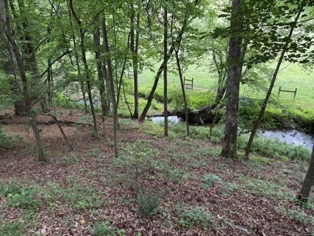 255 Clear Creek Preserve Way, Ellijay, GA 30536