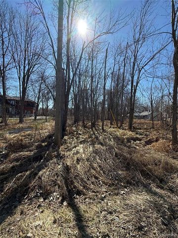 0000 Paramount Lot 50-22-02-379-018 Street, Novi, MI 48375