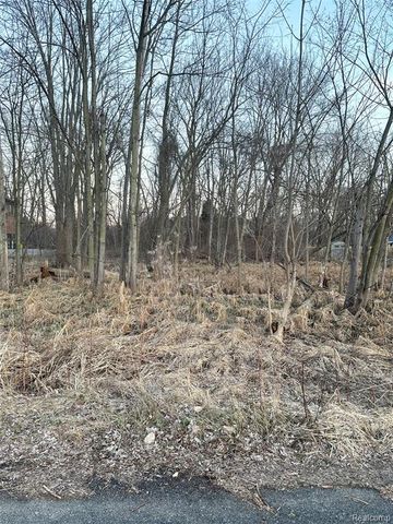 0000 Paramount Lot 50-22-02-379-018 Street, Novi, MI 48375