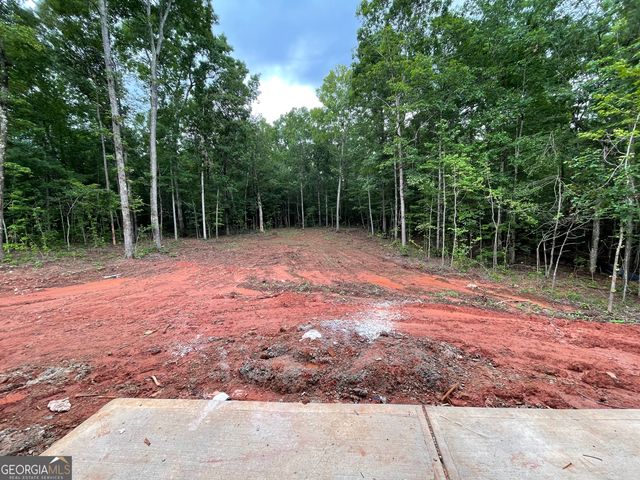 401 Hunter Welch Parkway, Luthersville, GA 30251