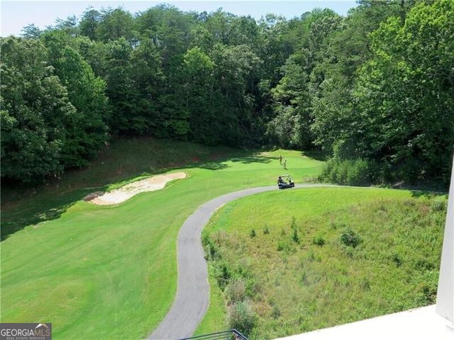 84 Schwarzwald Strasse, Helen, GA 30545