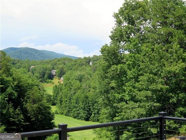 84 Schwarzwald Strasse, Helen, GA 30545