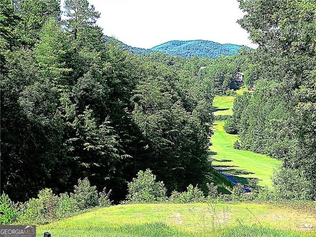 84 Schwarzwald Strasse, Helen, GA 30545