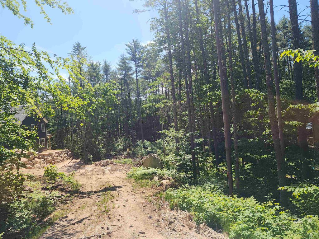 00 Tamarack Overlook 56, Conway, NH 03818