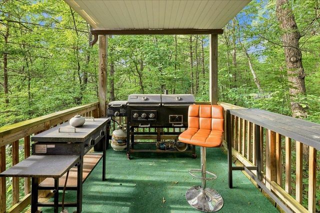 7823 SUPINLICK RIDGE RD, Mt Jackson, VA 22842