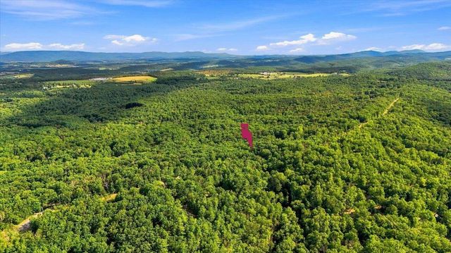 7823 SUPINLICK RIDGE RD, Mt Jackson, VA 22842