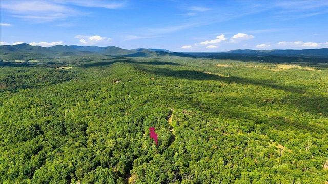7823 SUPINLICK RIDGE RD, Mt Jackson, VA 22842