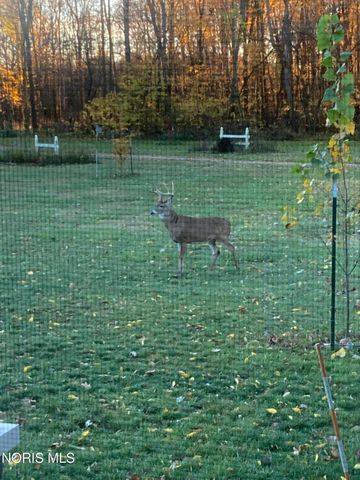 9019 19-50 Road, West Unity, OH 43570