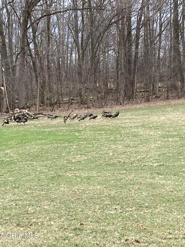 9019 19-50 Road, West Unity, OH 43570