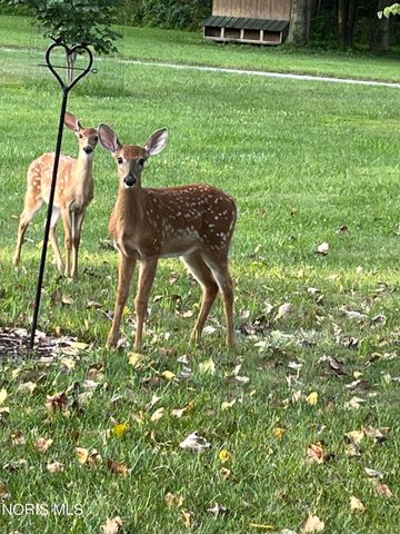 9019 19-50 Road, West Unity, OH 43570