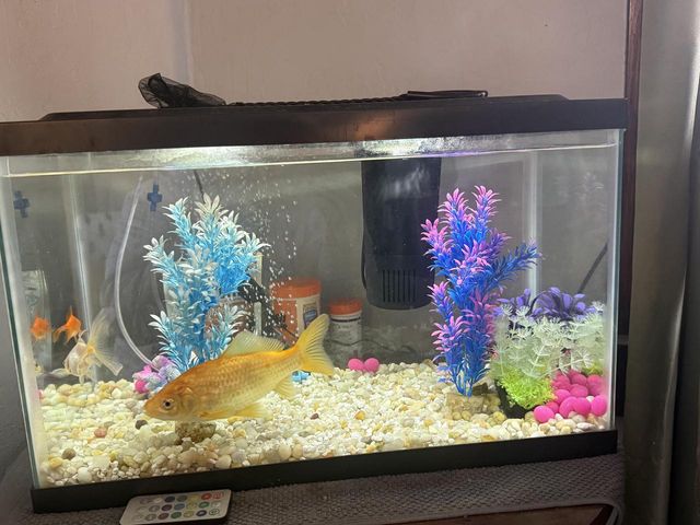 2324 Forest AVENUE, Two Rivers, WI 54241