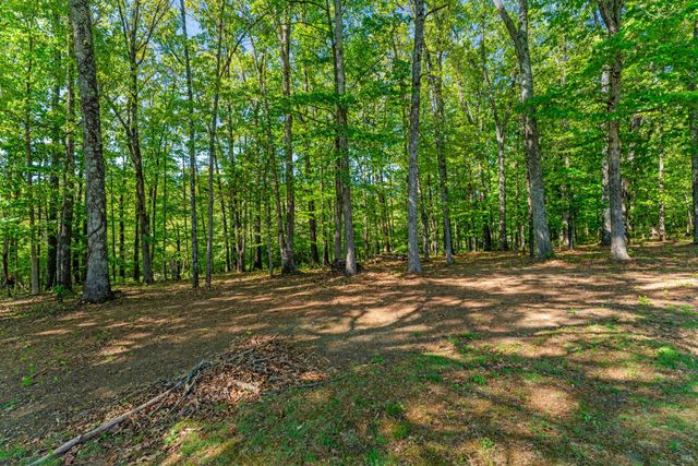 3690 BEAUTIFUL RUN RD, Orange, VA 22960