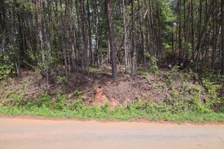 0 Sallys Ridge RD, Henry, VA 24102