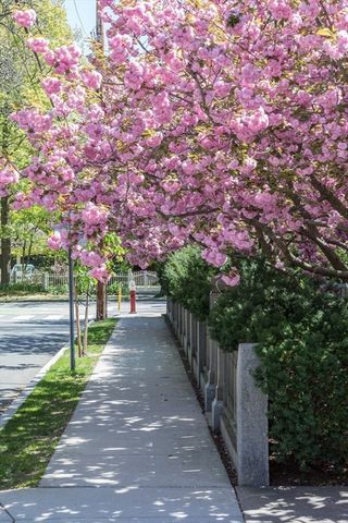 157 Brattle Street, Cambridge, MA 02138