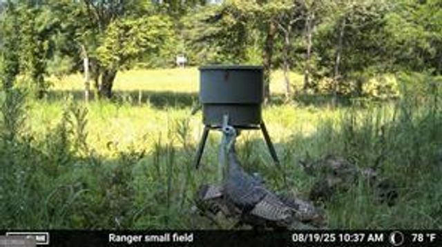 7596 Red Bud NE, Ranger, GA 30734