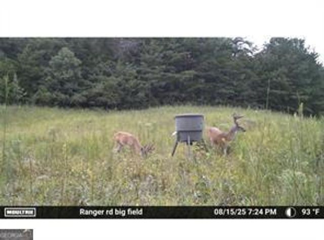 7596 Red Bud NE, Ranger, GA 30734