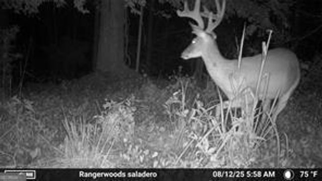 7596 Red Bud NE, Ranger, GA 30734