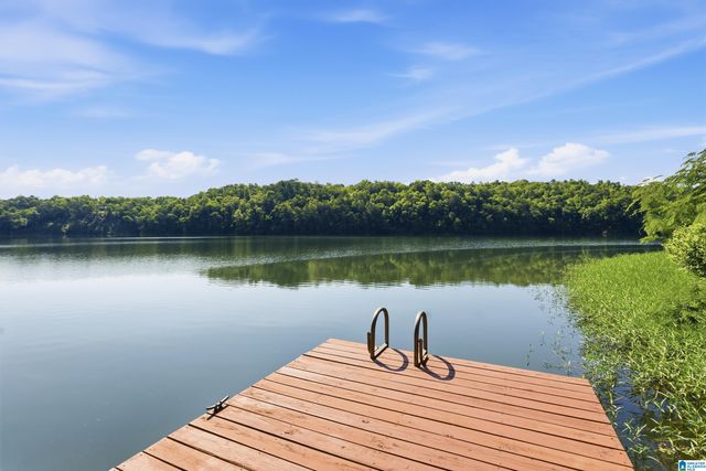 1595 OVERLOOK POINT, Warrior, AL 35180