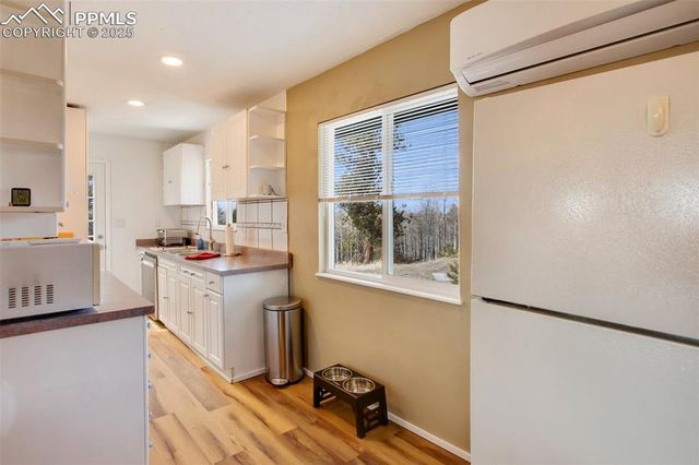 201 Dillon Lane, Florissant, CO 80816