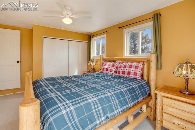 201 Dillon Lane, Florissant, CO 80816