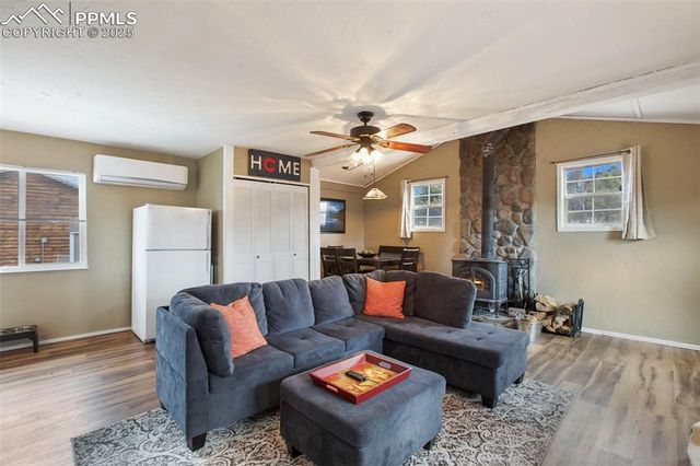 201 Dillon Lane, Florissant, CO 80816