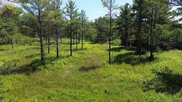 0 S Us-31, Elk Rapids, MI 49629