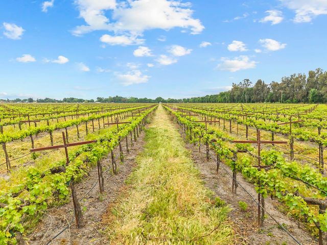 53020 S River Rd, Clarksburg, CA 95612