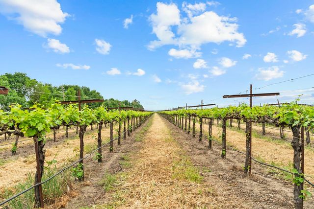 53020 S River Rd, Clarksburg, CA 95612