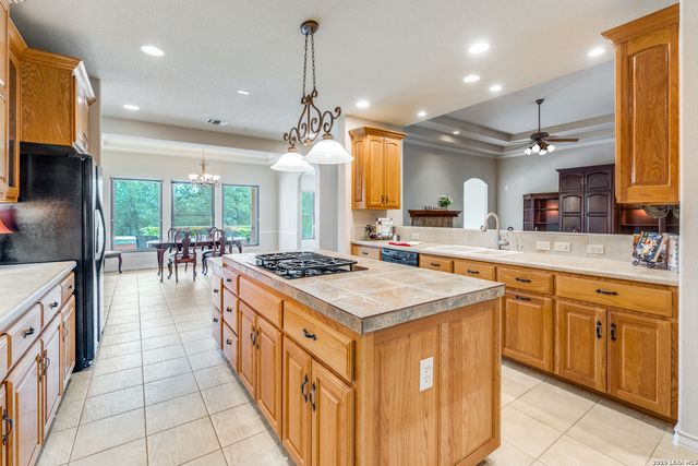 580 County Road 273, Mico, TX 78056