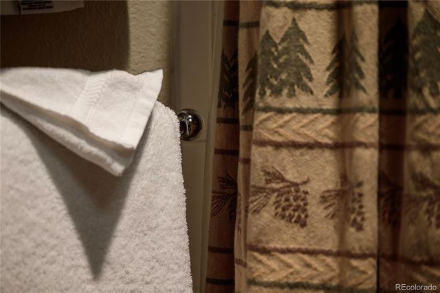 201 Zephyr Way 2008, Winter Park, CO 80482