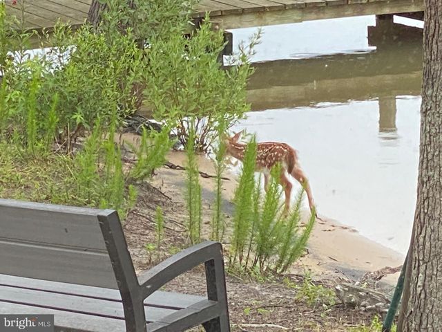 8071 WINDSOR DR, King George, VA 22485