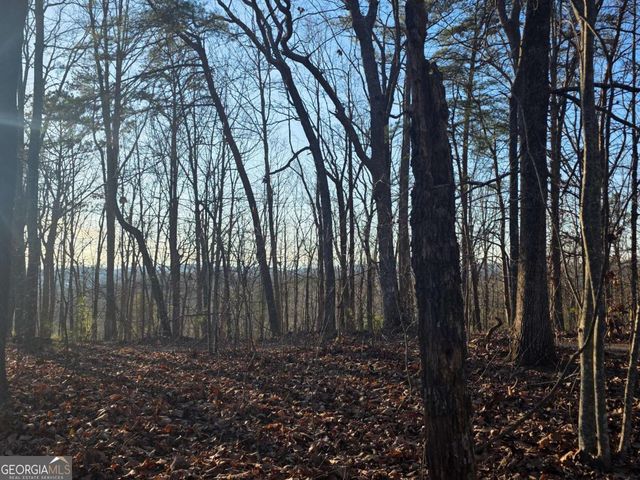 0 CARTERS LAKE OVERLOOK, Ellijay, GA 30540