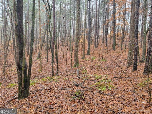 0 CARTERS LAKE OVERLOOK, Ellijay, GA 30540