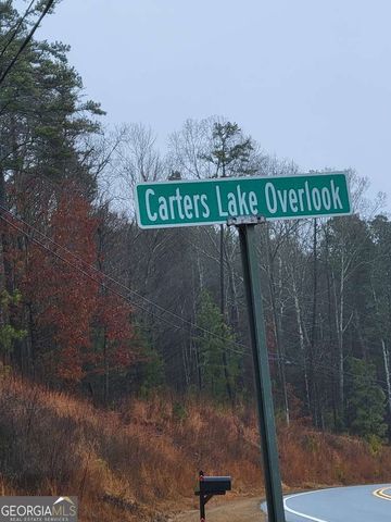 0 CARTERS LAKE OVERLOOK, Ellijay, GA 30540
