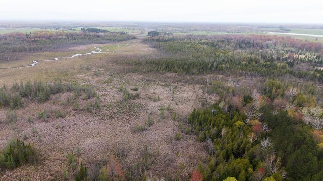 3960 W Clarence Road, Harrison, MI 48625