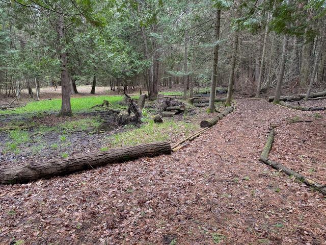 3960 W Clarence Road, Harrison, MI 48625
