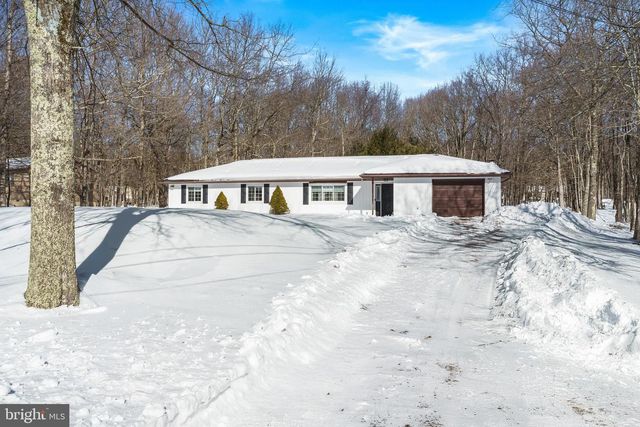 50 BUCKHILL RD, Albrightsville, PA 18210