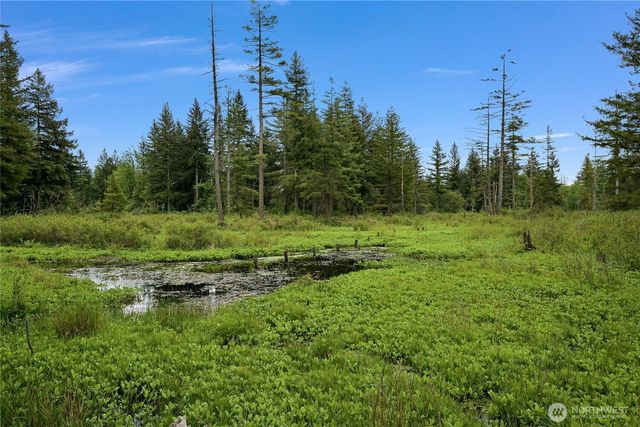 9954 Peace Road, Blaine, WA 98230