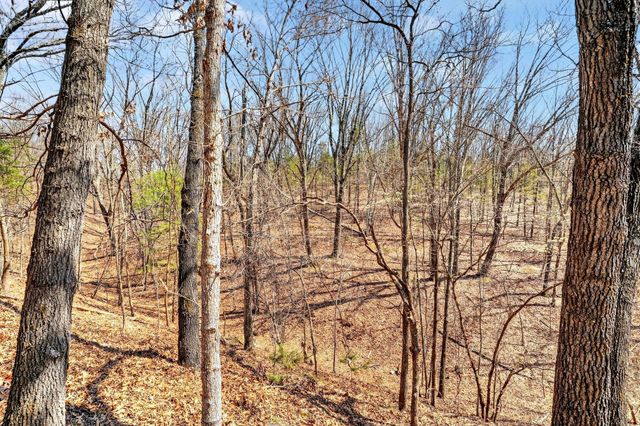 1496 State Highway Y, Galena, MO 65656