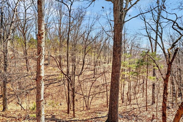 1496 State Highway Y, Galena, MO 65656