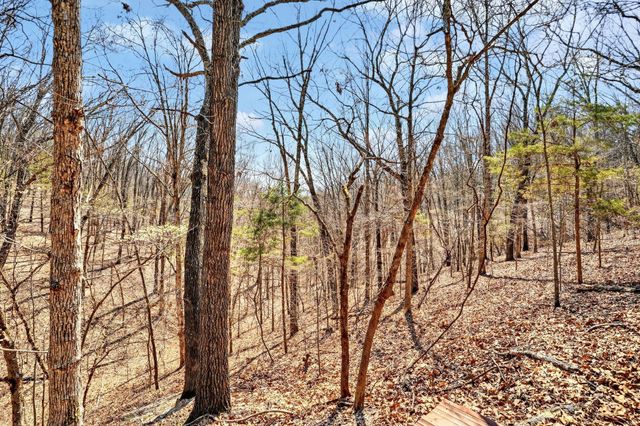 1496 State Highway Y, Galena, MO 65656