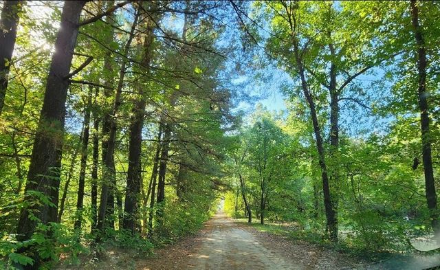 12212 Riverside Drive, White Pigeon, MI 49099