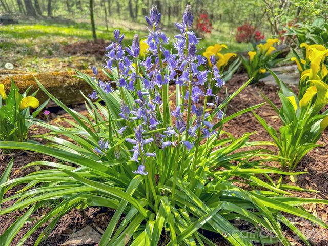 211 Rustic Road, Waynesville, NC 28786