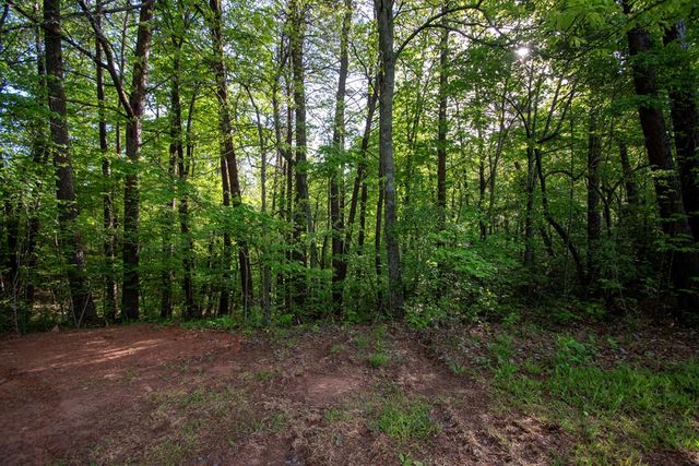 36 Mountain Top Road, Marble, NC 28905