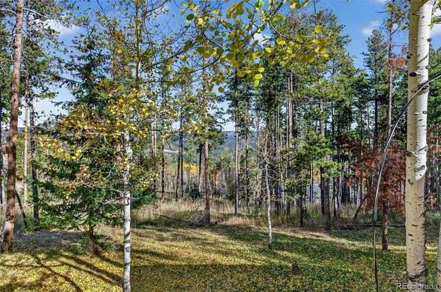 20341 Maxwell Drive, Morrison, CO 80465